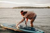 A Complete Guide To Buying Your First Paddleboard